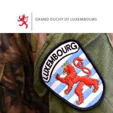 Nato constitutes a system of collective defence whereby its independent member states agree to mutual defence in response to an attack by an. Representation Du Luxembourg Aupres De L Otan Luxembourgnato Twitter