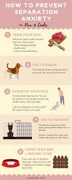 All of my dogs enjoy music and the tv, so i leave it on for them. The Complete Guide To Dog Separation Anxiety Pawleaks