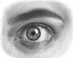 How To Draw Eyes: Step By Step Realistic Eye Drawing Tutorial - Luiza  Creates