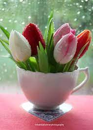 Order now to get best discounts on fresh cake, gifts and flowers with same day delivery, midnight delivery, fixed time delivery options. To My Friends Happy Valentine S Day Tulips Love Flowers Pretty Flowers