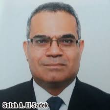 Scholars have found around 100 pyramids in egypt and more are likely buried under the sand. ExcelenÅ£a Sa Domnul Salah A El Sadek Ambasadorul Republicii Arabe Egipt In Romania Egiptul Poate Fi Una Din PorÅ£ile Romaniei CÄtre Lumea ArabÄ Si Africa 06 12 2017 Bursa Ro
