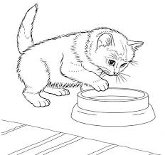 Second page of printable cat coloring for kids. 11 Best Free Printable Cat Coloring Pages For Kids