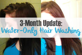 5 days to diy natural living The Ultimate Water Only Hair Washing Routine No Shampoo Just Primal Things