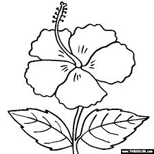 The blue color symbolizes loyalty, strength, wisdom and trust. Hibiscus Flower Online Coloring Page