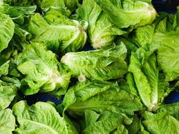 Bonus tips to keep lettuce fresh longer: How To Keep Lettuce Fresh Help Around The Kitchen Food Network Food Network