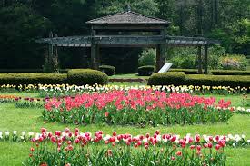 Elizabeth Park Pond House Cafe Perennial Garden Amazing Gardens Park