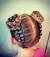 Natural Hair Little Girl Twist Hairstyles