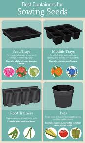 Other plants, however, are more often started inside, either because they cannot handle the cold conditions of the not starting enough seeds: Starting Seeds Indoors Fix Com