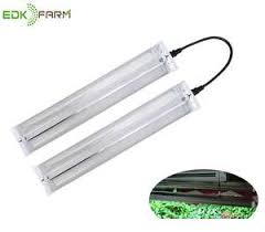 We did not find results for: Edl 15w Tissue Culture Plants Cabinet Led Smart Garden Hydroponics Growing Herb Plant Grow Light Kit
