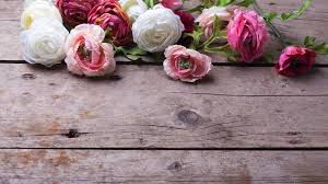 Maybe you would like to learn more about one of these? Jennie S Flowers Florerias En Tampa Fl Listas Locales