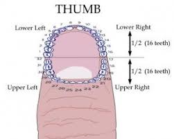 Pin On Body Reflexology