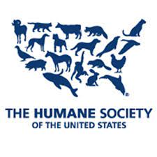 Unit 1 Week 6 Worksheets Humane Worksheets For Teachers The Humane Society Of The United States Humane Society Animals Pets