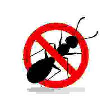 Per combattere in modo naturale l'invasione delle formiche armiamoci di pazienza, seguiamo per alcuni giorni i percorsi che amano fare nelle nostre abitazioni e poi interveniamo con i rimedi naturali e con i consigli pratici che seguono. Come Eliminare Le Formiche In Casa E In Giardino Soluzioni Pratiche