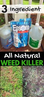 Pin On Gardening