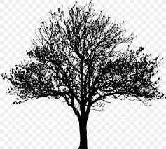 Branch silhouettes clipartbranch silhouettes clip art pack,tree branchs,branchs,silhouettes,branch,scrapbook, instant download sh001. Tree Silhouette Drawing Clip Art Png 2289x2062px Tree Alder Black And White Branch Drawing Download Free