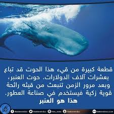 Pin By Khadija Tanert On حقائق ومعلومات Movie Posters Poster Movies