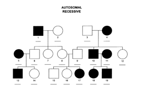 Tips For Interpreting Pedigree Charts And Understanding