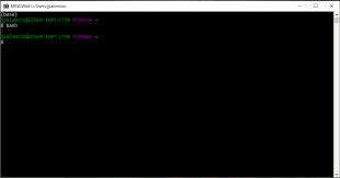 It keeps a commit history which allows you to revert to a stable state in case you mess up your code. Introduction To Bash Shell And Manipulating Files And Directores At The Command Line Earth Data Science Earth Lab