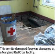 Clark pest control is always there for you to provide you the support which is hard to find. Annual Termite Control Issue Termite News Notes Pct Pest Control Technology