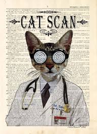 Doctor Cat Print Cat Scan 8 5 X 11 Print Whimsical Cat Print Veterinary Gift Doctor Gift Medical Intern Gift Cat Lover Art Book Page Art Doctor Cat Lovers Art