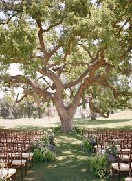 The Ultimate Private Estate And Backyard Wedding Planning Guide Tree Wedding Ceremony Backyard Wedding Ceremony Ojai Wedding