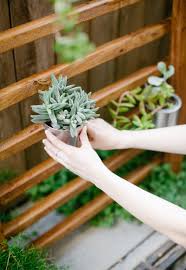 Create an adorable turtle planter. Diy Vertical Garden An Easy Succulent Wall Planter Sugar Cloth