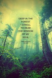 Soul Quotes To Love And Live By Nature Quotes Trees Green Nature Quotes Nature Quotes