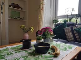 I live in a rented room in a paying guest accommodation. Wmg Ftmsc Blog Collection