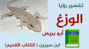 تفسير رؤية حلم الوزغ في المنام رؤية البرص في الحلم موسوعة animals interpretation society