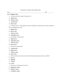 There are worksheets on the digestive system, the skeleton and our amazing body. Human Body Systems Matching Worksheet Answers Worksheets Body Systems Human Body Systems Matching Worksheets