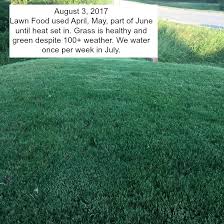 If you want to get lawn fungus under control, read our post and keep your lawn looking beautiful! Cheap Safe And Incredibly Effective Homemade Lawn Food