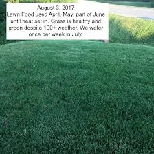 If you can brew a beer with urine as fertilizer, you can recycle almost anything, hækkerup said. Cheap Safe And Incredibly Effective Homemade Lawn Food