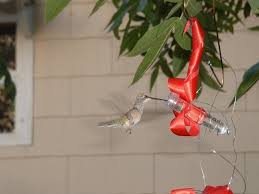Repl hummingbird flower fits model no. I Made This Easy Hummingbird Feeder Out Of Plastic Flower Stem Holders And Red Ribbon I Wrapped Them With Humming Bird Feeders Plastic Flowers Outdoor Crafts