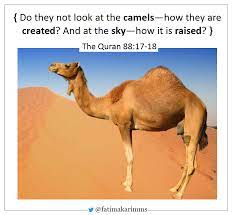 List of people and names, mentioned in the quran. The Human Race God Created All Races From A Single By Fatima Karim Medium