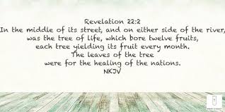 A god tree (神樹, shinju, english tv: Revelation 22 2 Revelation 22 Revelation Tree Of Life