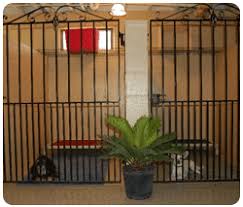 Find out which smaller, quieter animals can make a good choice for compact spaces. Just For Pets Floyds Knobs Indiana