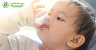 5 tác dụng của tinh dầu húng chanh Trần Kim Huyền