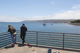 Maybe you would like to learn more about one of these? Can You Eat Fish Caught In San Diego Bay San Diego Reader