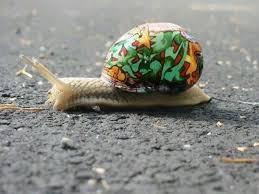 Wellbelove On Twitter Snail Snail Shell Snail Art