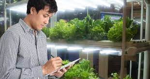 Maybe you would like to learn more about one of these? How Long To Keep Grow Lights On Plants