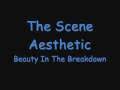 And i know, and i know this is the only way of pleasing the crowds. The Scene Aesthetic Beauty In The Breakdown Youtube