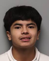 Teen Charged with Criminal Homicide for Fatal Shooting