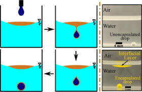Verb (encapsulat) (label) to enclose something as if in a capsule.* 2014 feb. Encapsulation With An Interfacial Liquid Layer Robust And Efficient Liquid Liquid Wrapping Sciencedirect