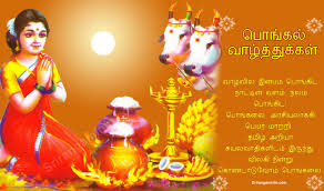 See more ideas about pongal greeting cards, happy pongal, pongal wishes in tamil. Pongal Greetings In Tamil