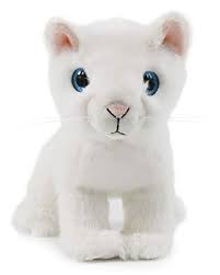 Ice King Bear Cute Big Eyes Cat Stuffed Animal Plush Toy Https Www Amazon Com Dp B07ktt3zck Ref Cm Sw R Pi Stuffed Animal Cat Animal Plush Toys Big Eyes