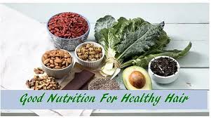7 Essential Nutrients That Stimulate Hair Growth Foods That Heal You