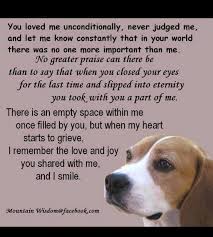  Pin By Charlotte Adams On Beagles Dog Poems Pet Loss Animal Quotes