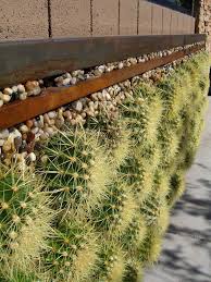 Pin By Nancy Pedersen On Succulent Plants Vertical Garden Cactus Garden Landscaping Plants