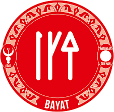 نتیجه تصویری برای bayat boyu