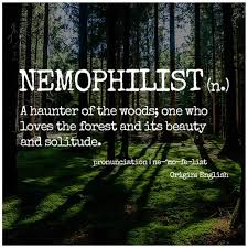 Definition of nemophilist in the fine dictionary. Lestari Club Malaysia Accueil Facebook